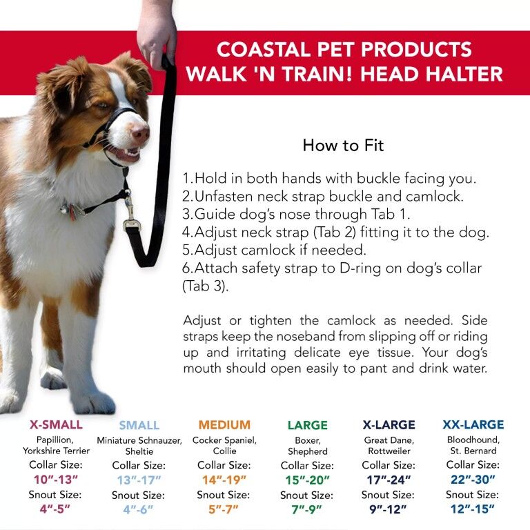 Costal Pet Products Walk 'n Train! Black Medium Dog Head Halter