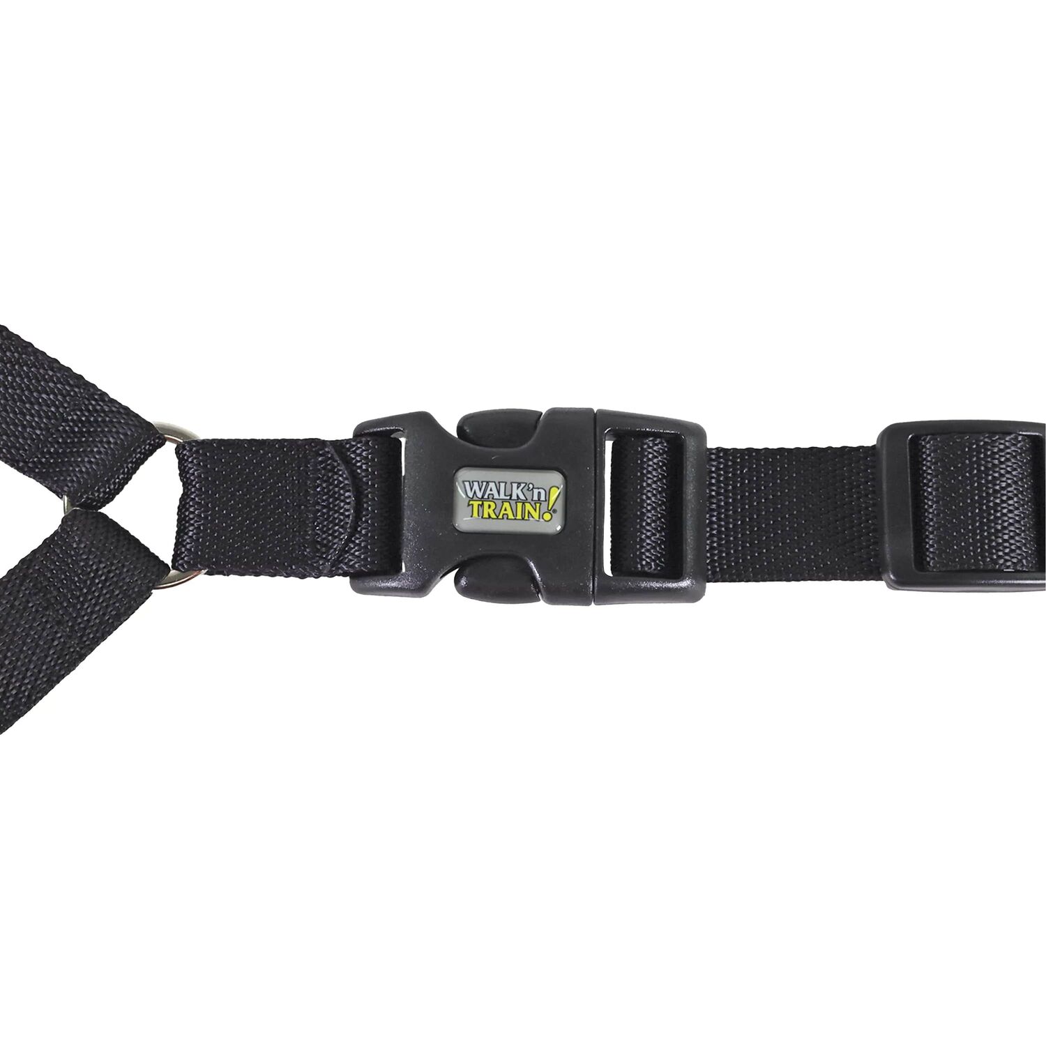 Costal Pet Products Walk 'n Train! Black Medium Dog Head Halter