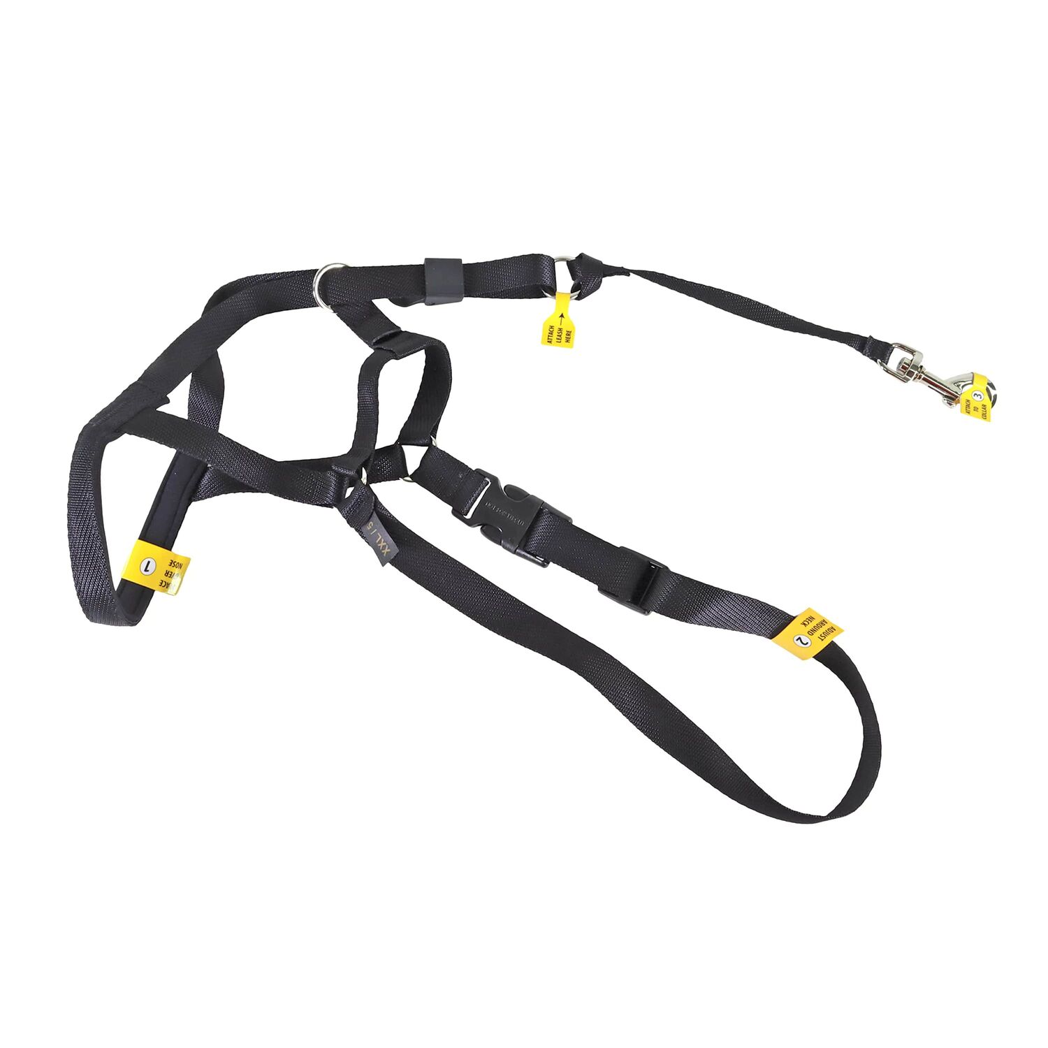 Costal Pet Products Walk 'n Train! Black Medium Dog Head Halter