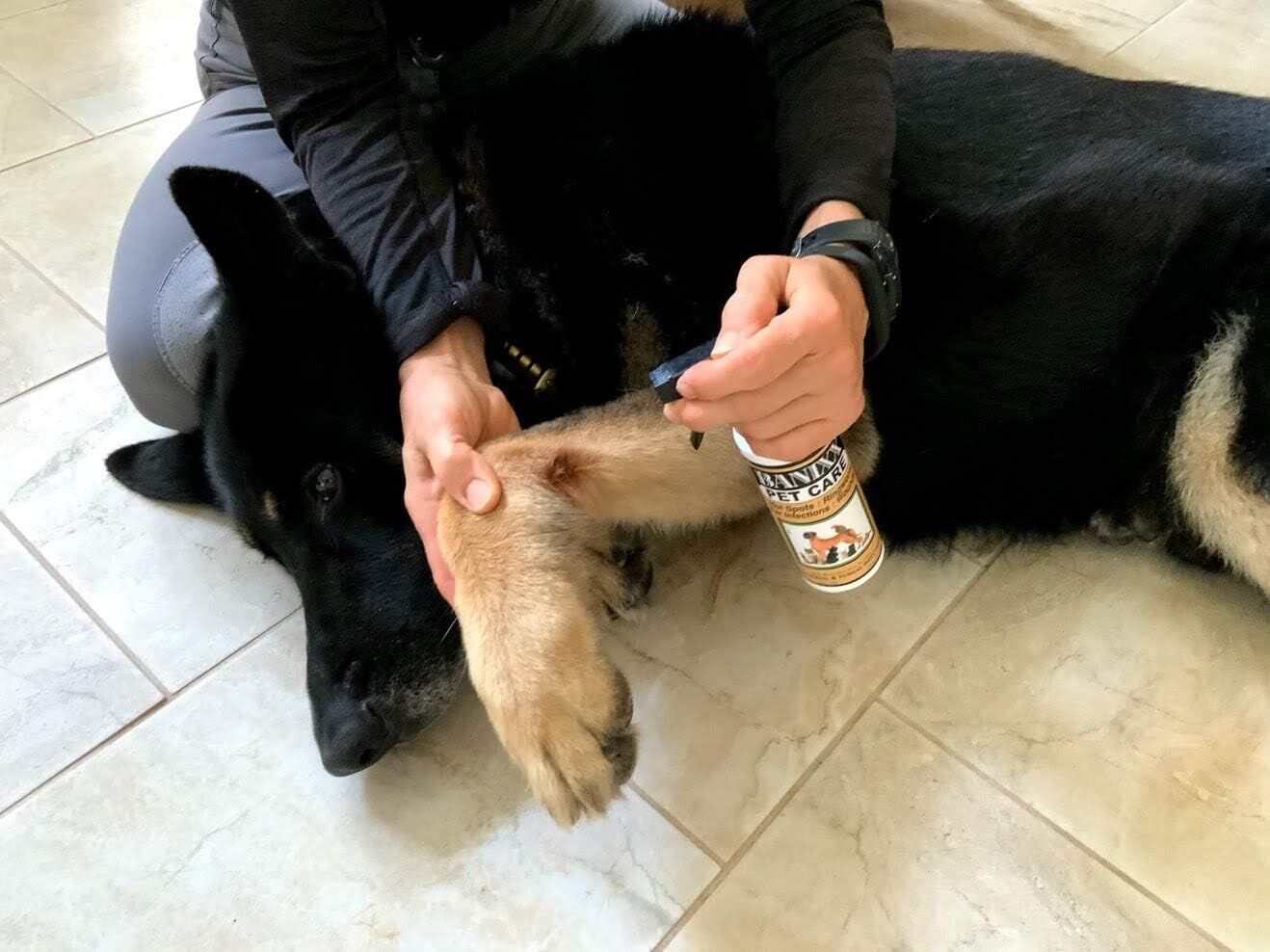 Banixx Pet Care Spray, 8-Oz