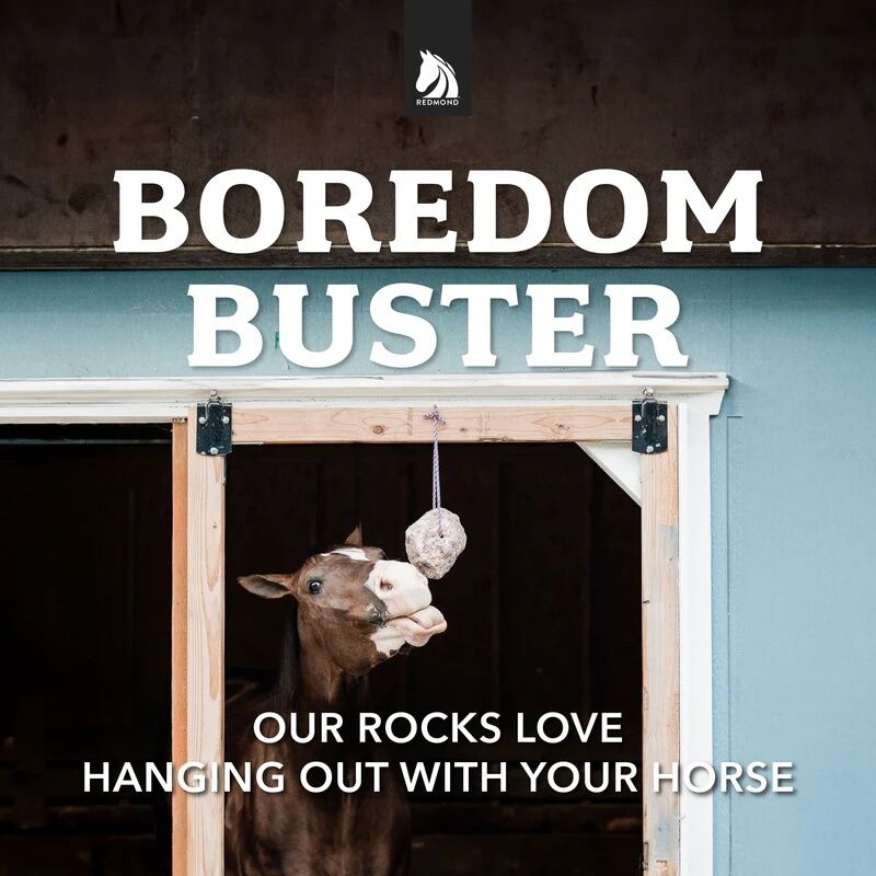 Redmond Rock On A Rope Mined Horse Salt Lick, 3-Lb