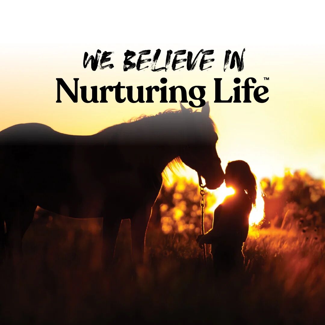 Manna Pro Apple Wafer Horse Treats, 20-Lb