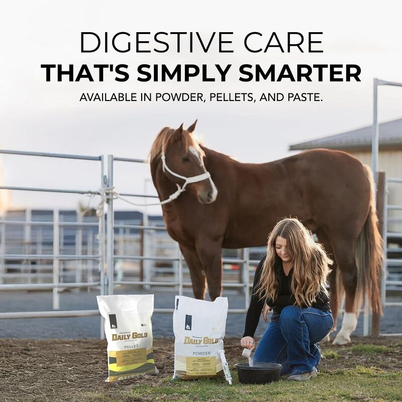 Daily Gold Paste Digestive Equine Stress Relief, 60-cc