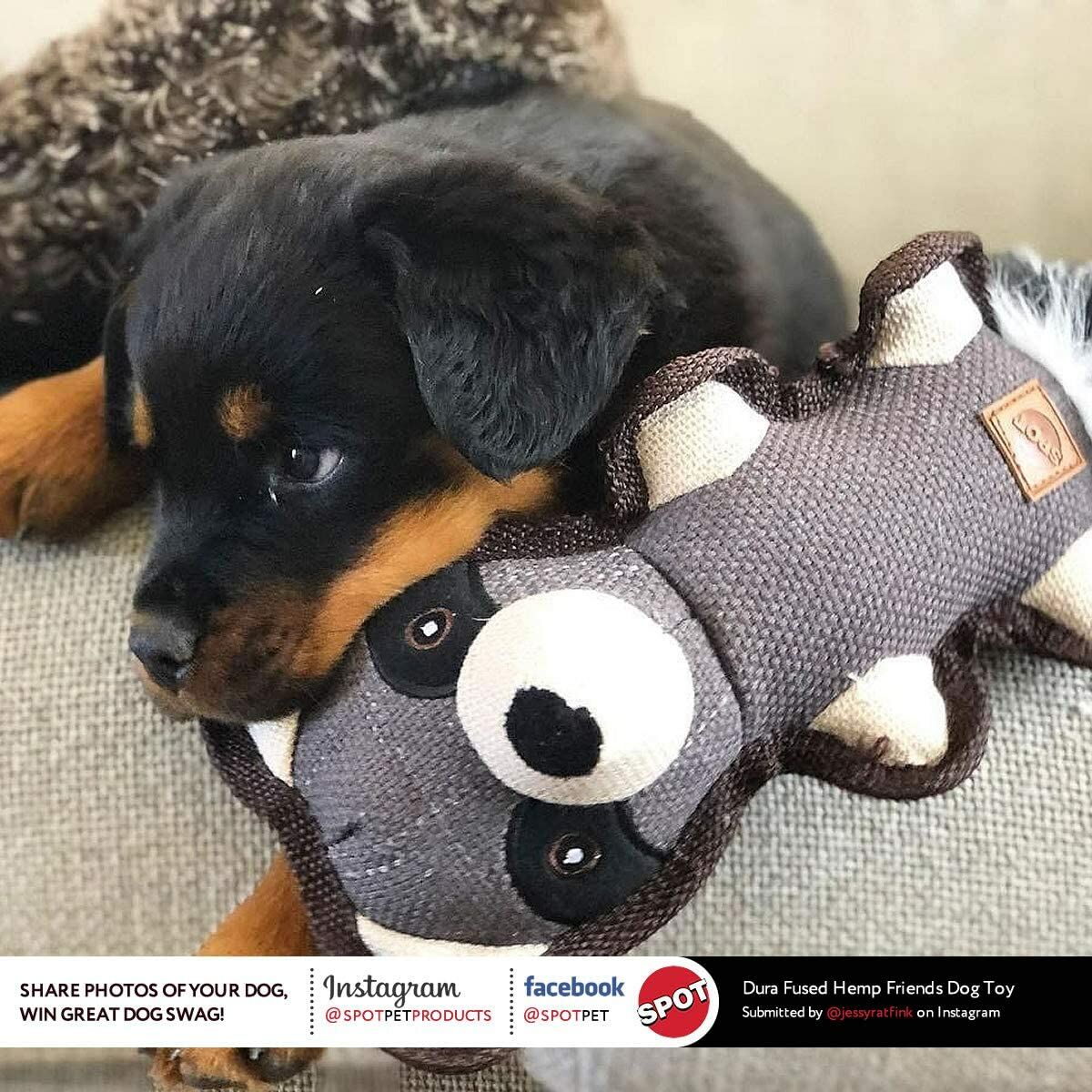 SPOT Dura Fused Hemp Friends Dog Toy Assortment, 18-In