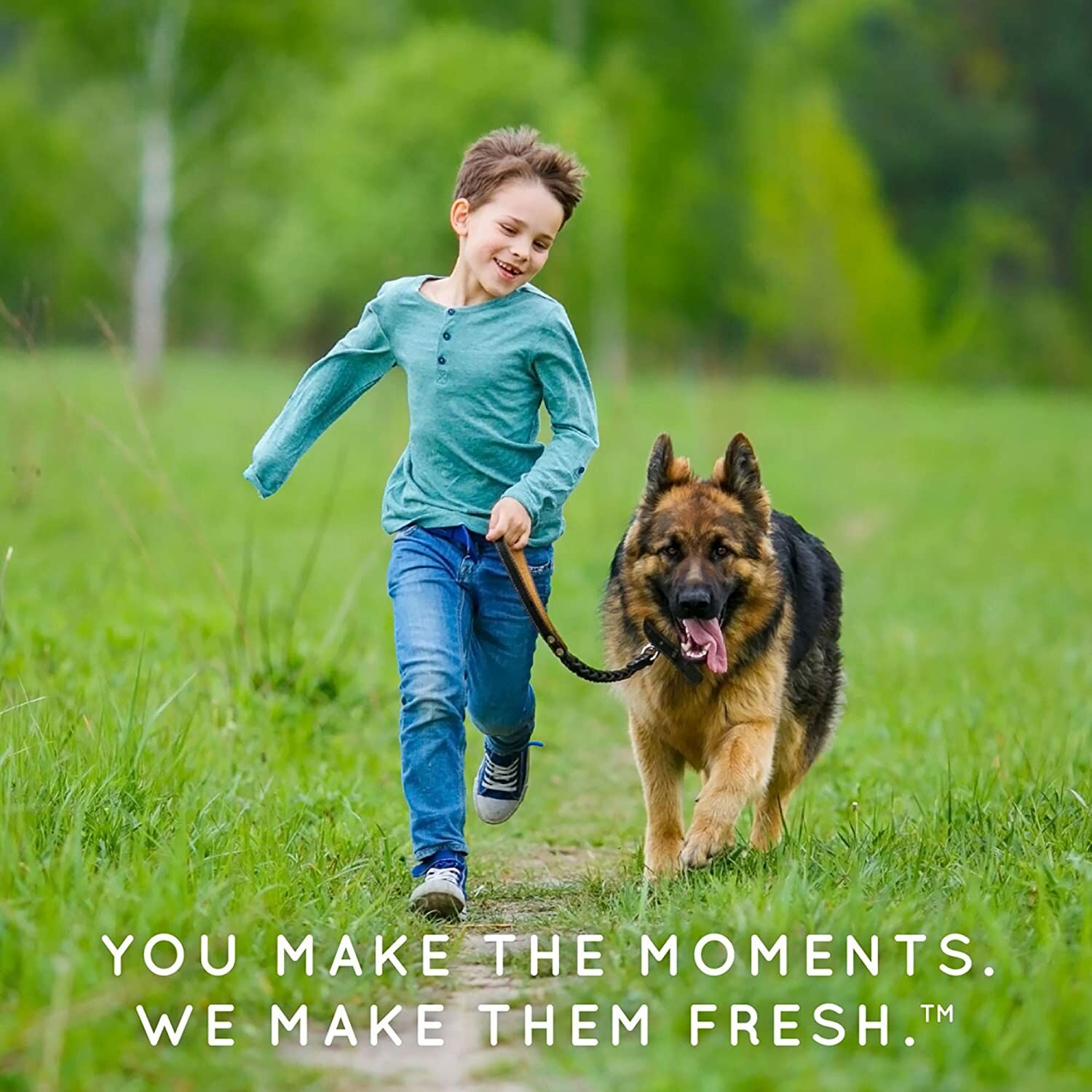 TropiClean Natural Flea & Tick Spot-On Treatment for Large Dogs over 75-Lbs