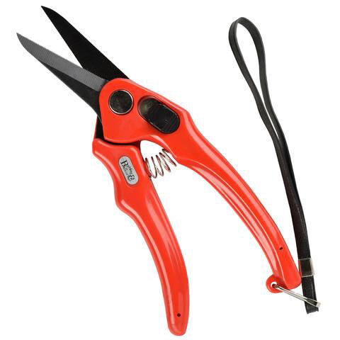 Serrated Supersharp Footrot Shears