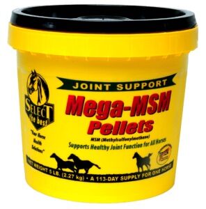 Select The Best Mega MSM Pellets, 5-Lb