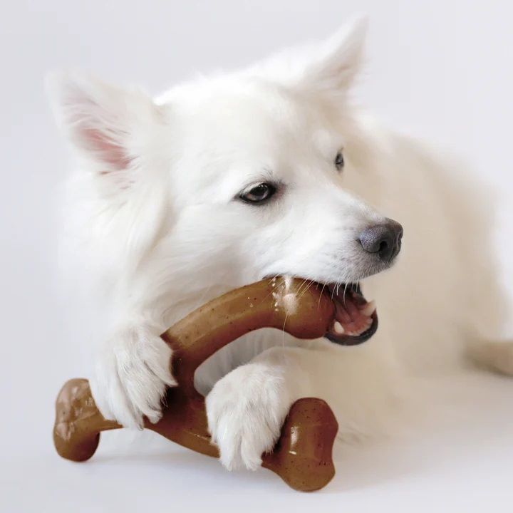Benebone Medium Bacon Wishbone Chew Toy