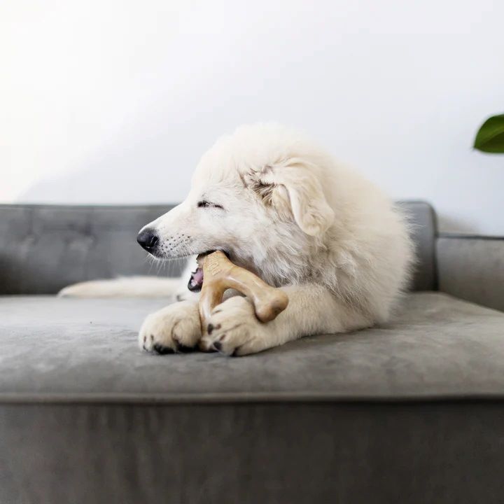 Benebone Small Bacon Puppy Wishbone Chew Toy