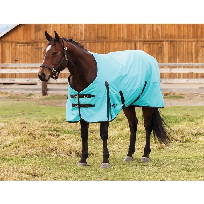 Weatherbeeta Turquoise & Black ComFiTec Original Standard Neck Medium, 75-In