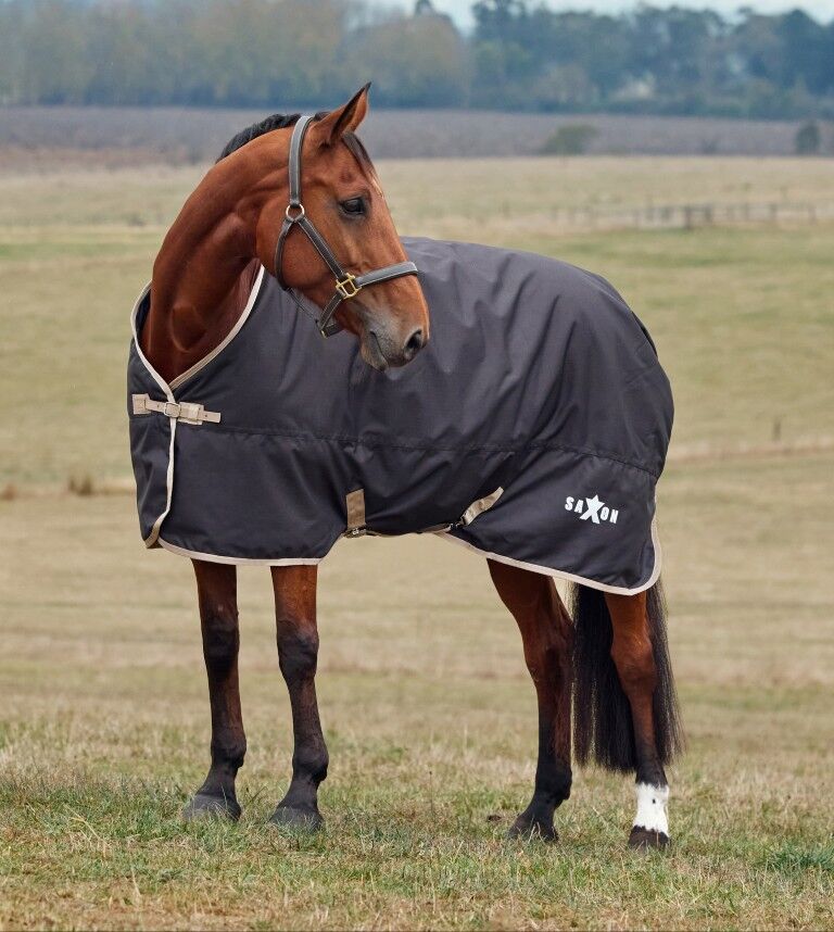 Weatherbeeta Black Saxon Defiant 1200D Standard Neck Medium Turnout Blanket, 72-In