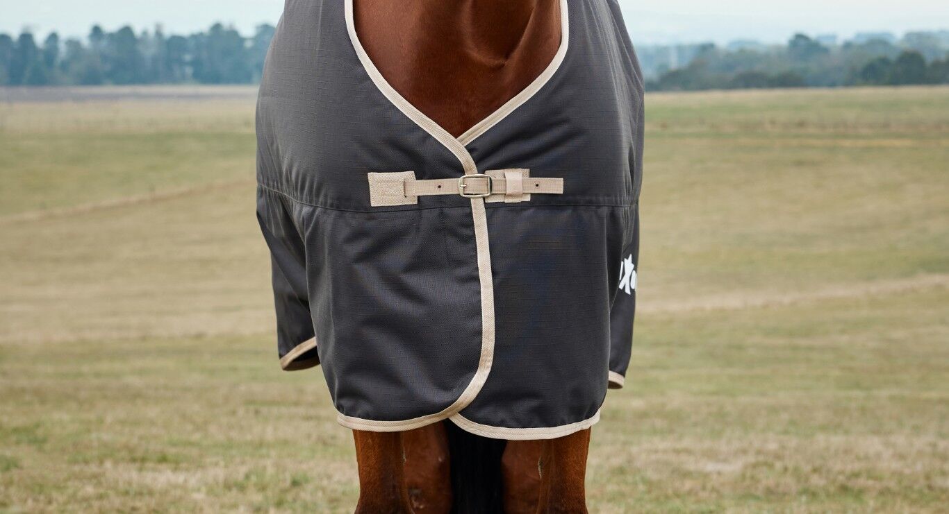 Weatherbeeta Black Saxon Defiant 1200D Standard Neck Medium Turnout Blanket, 78-In