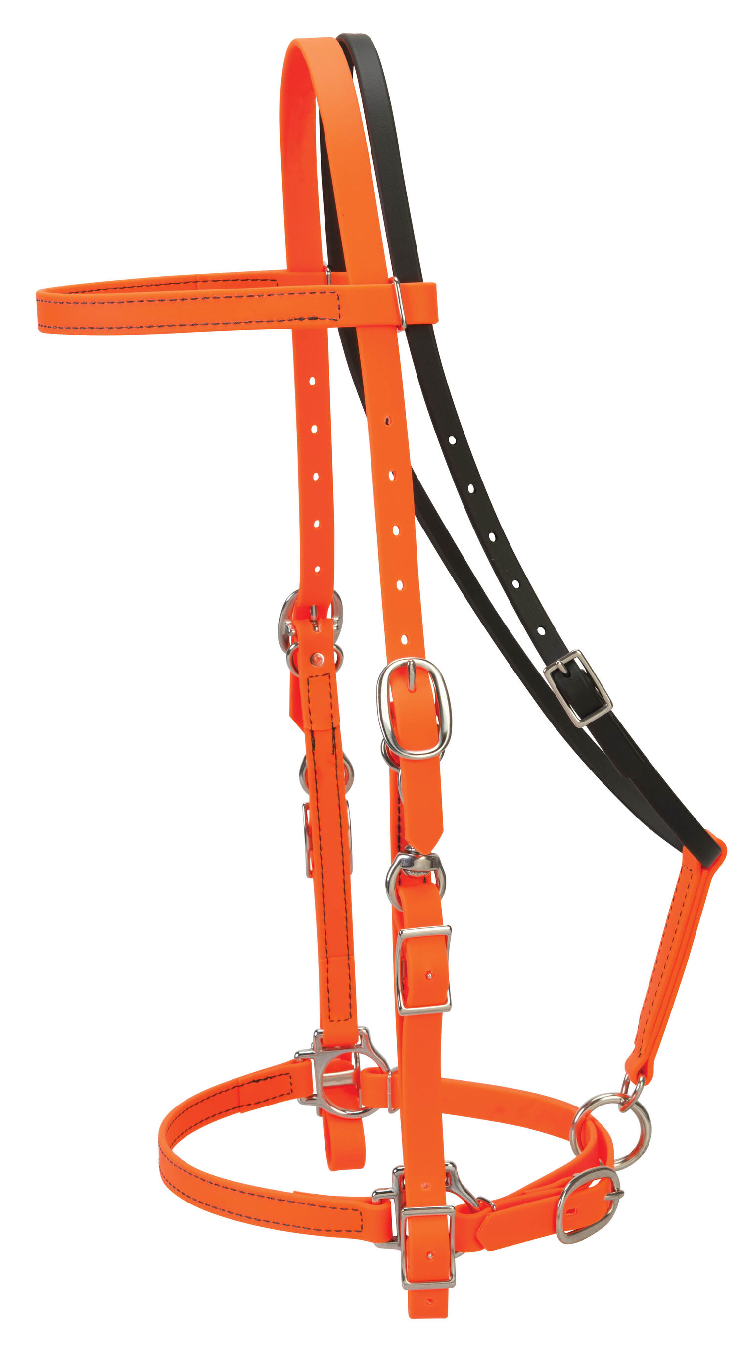 TRAIL GEAR HALTER/BRIDLE COMBO