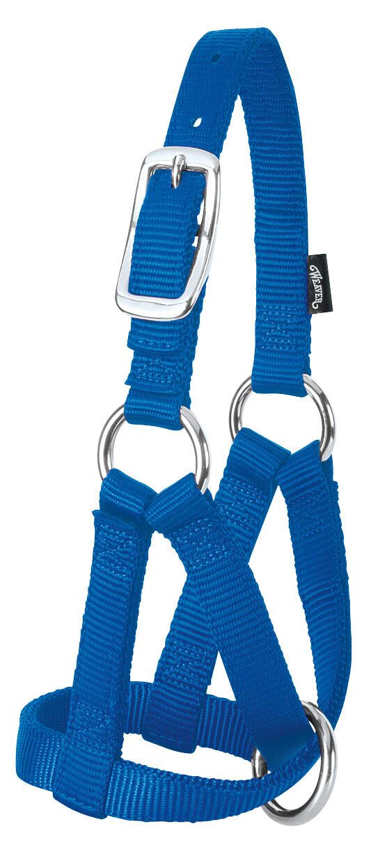 BLU NYLN DOE GOAT HLTR