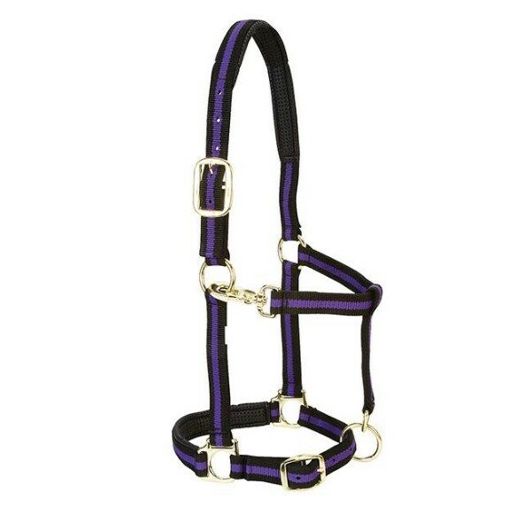 Padded Adjustable Chin and Throat Snap Halter, Purple, 1" Average Horse or Yearling Draft