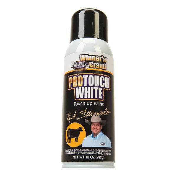 PROTOUCH WHITE POWDER 10OZ