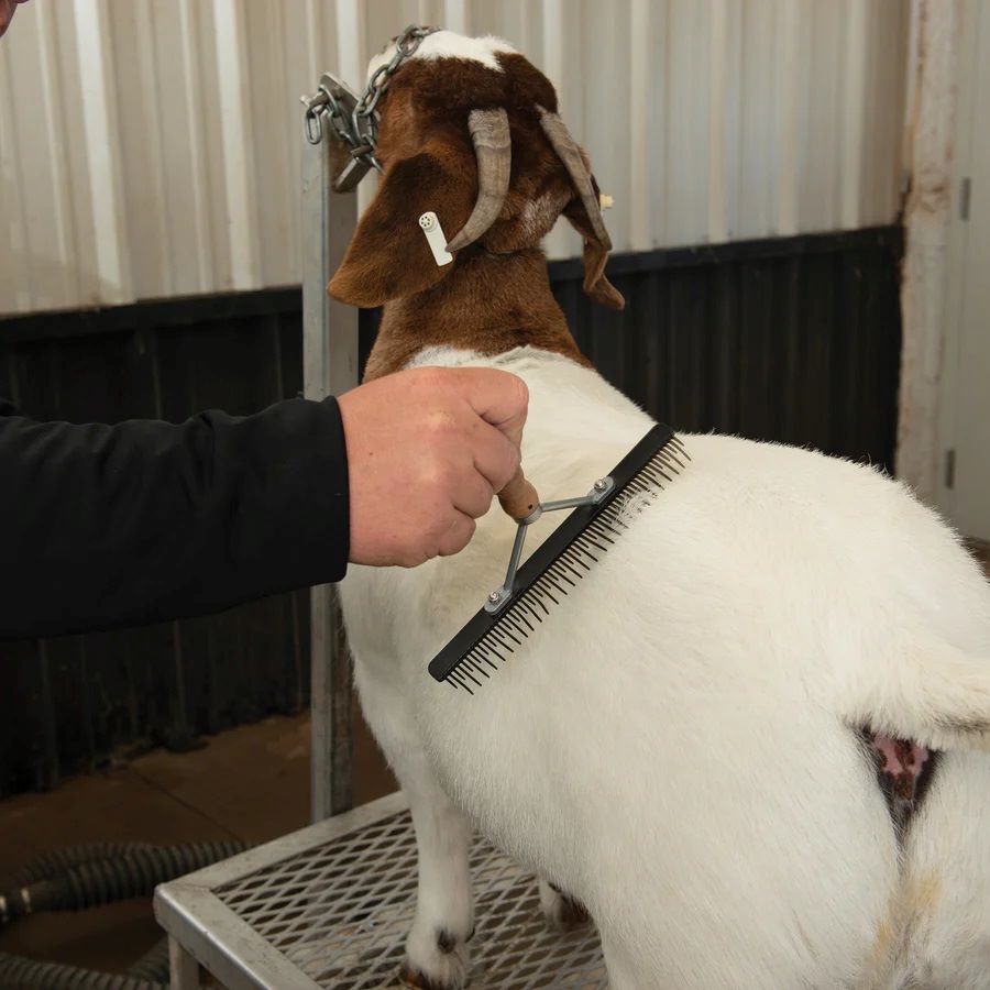 Fluffer Comb with Wood Handle and Replaceable Plastic Blade