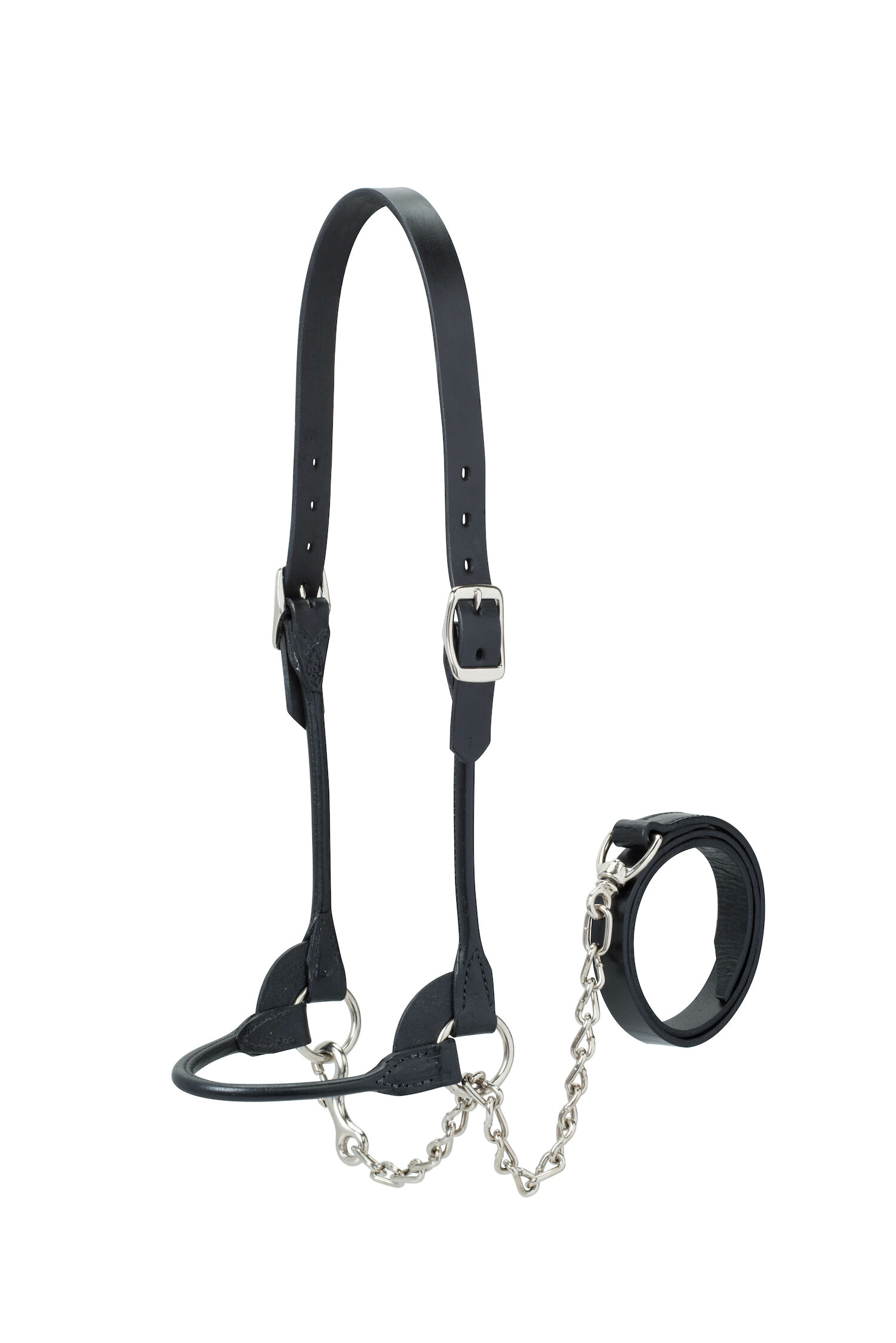 BLK MED ROUND SHOW HLTR