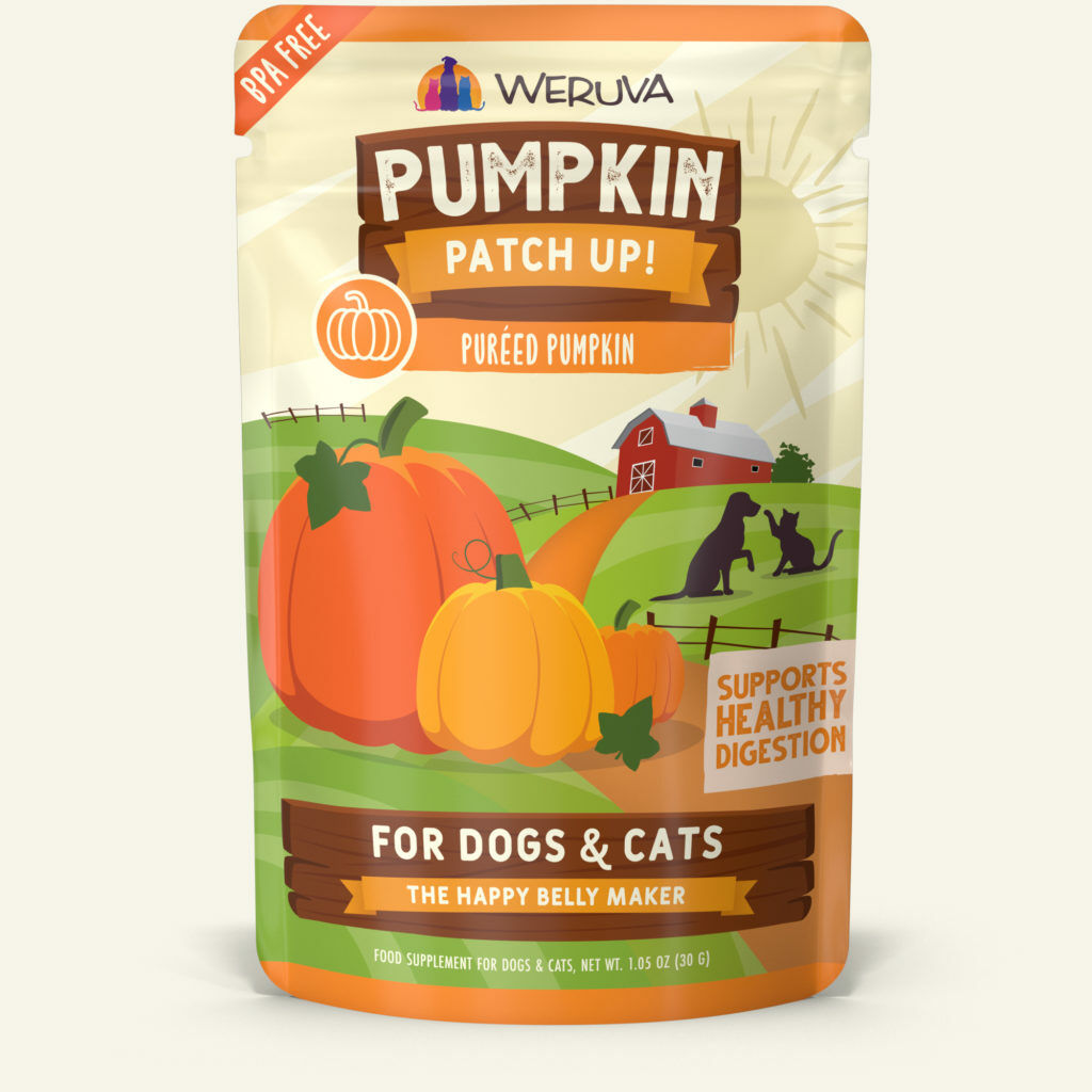 Puréed Pumpkin Pumpkin Supplement (1.05 Oz Pouch)