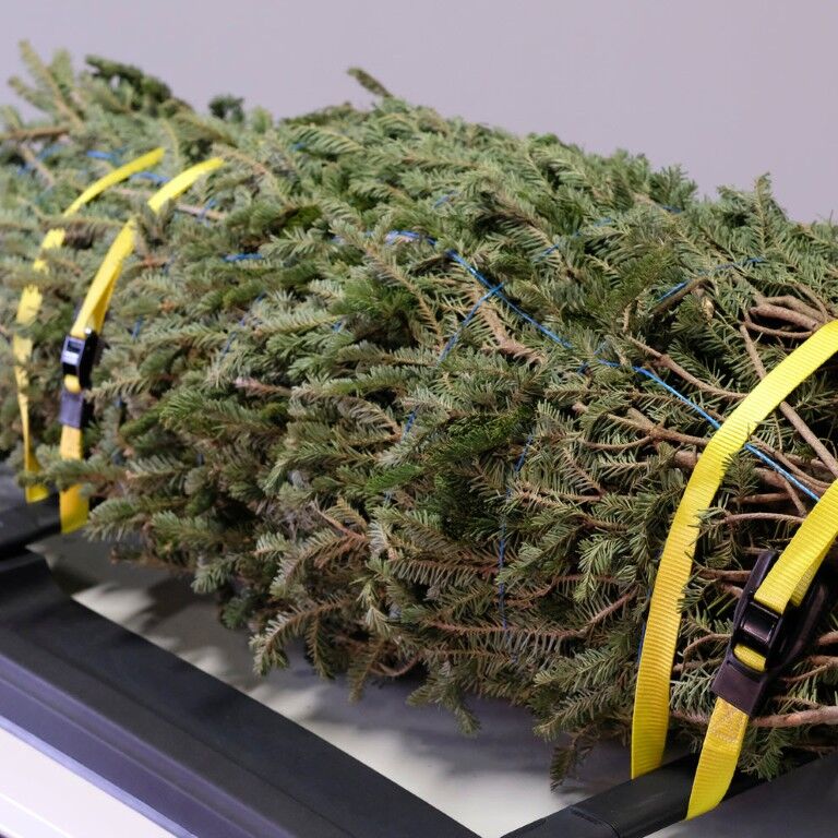 Wrap-It 1-In X 12-Ft Cam Straps, 2-Pk