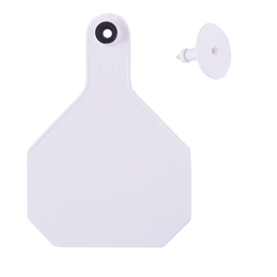 Blank Large White Ear Tag