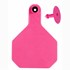 Blank Large Pink Ear Tag