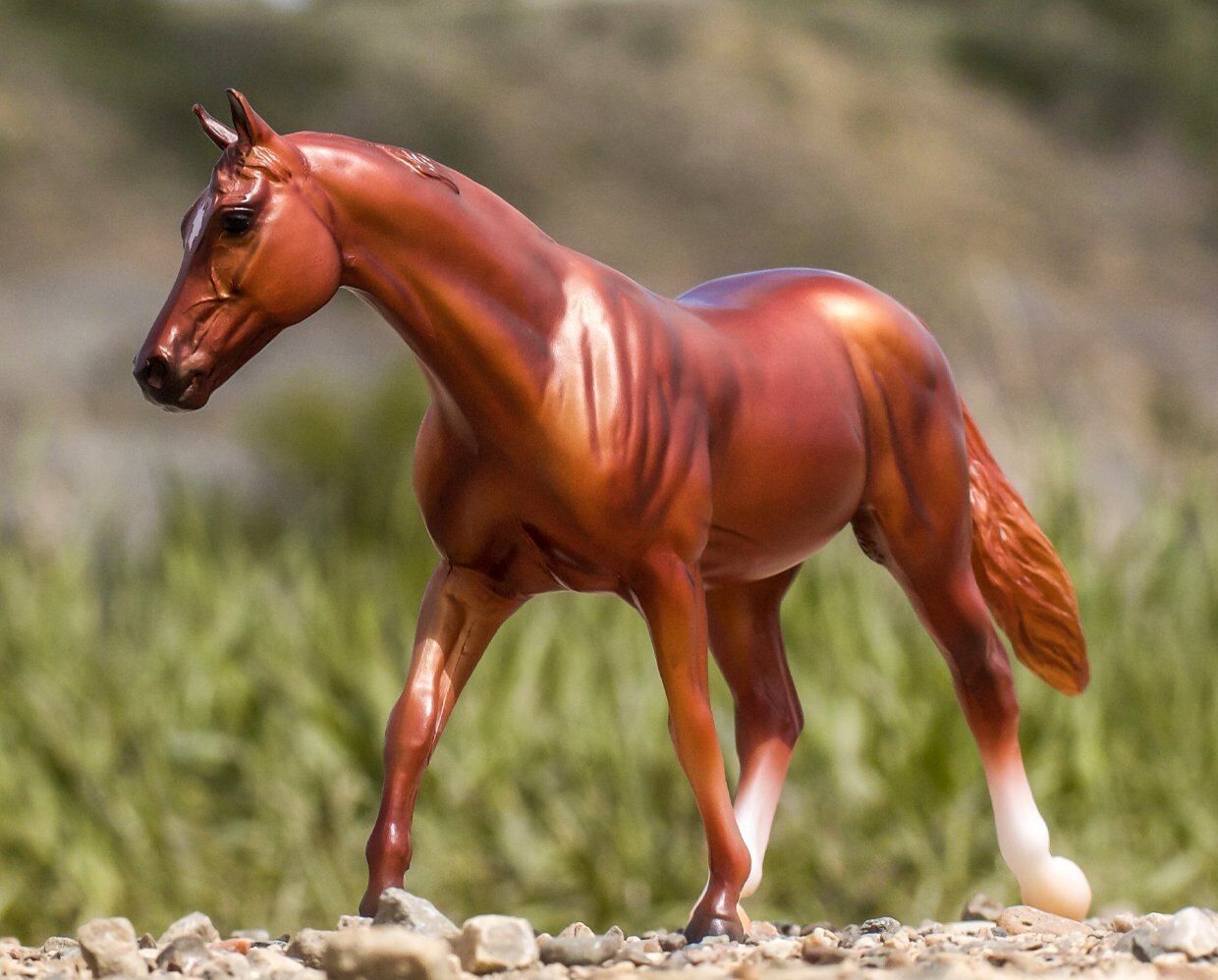 Coopery Chestnut Thoroughbred Horse