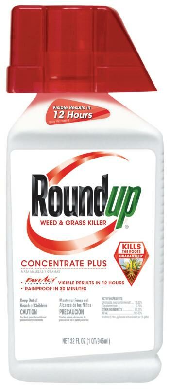 Roundup Weed and Grass Killer Concentrate Plus, 1/2 Gal Jug