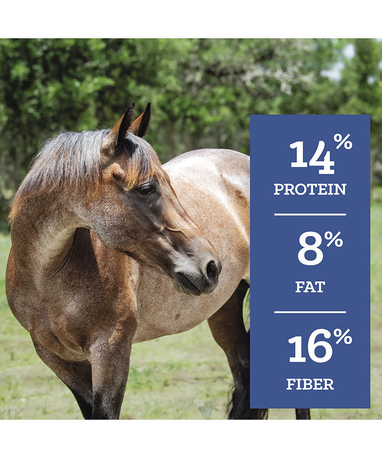 SafeChoice Senior, 50-Lb