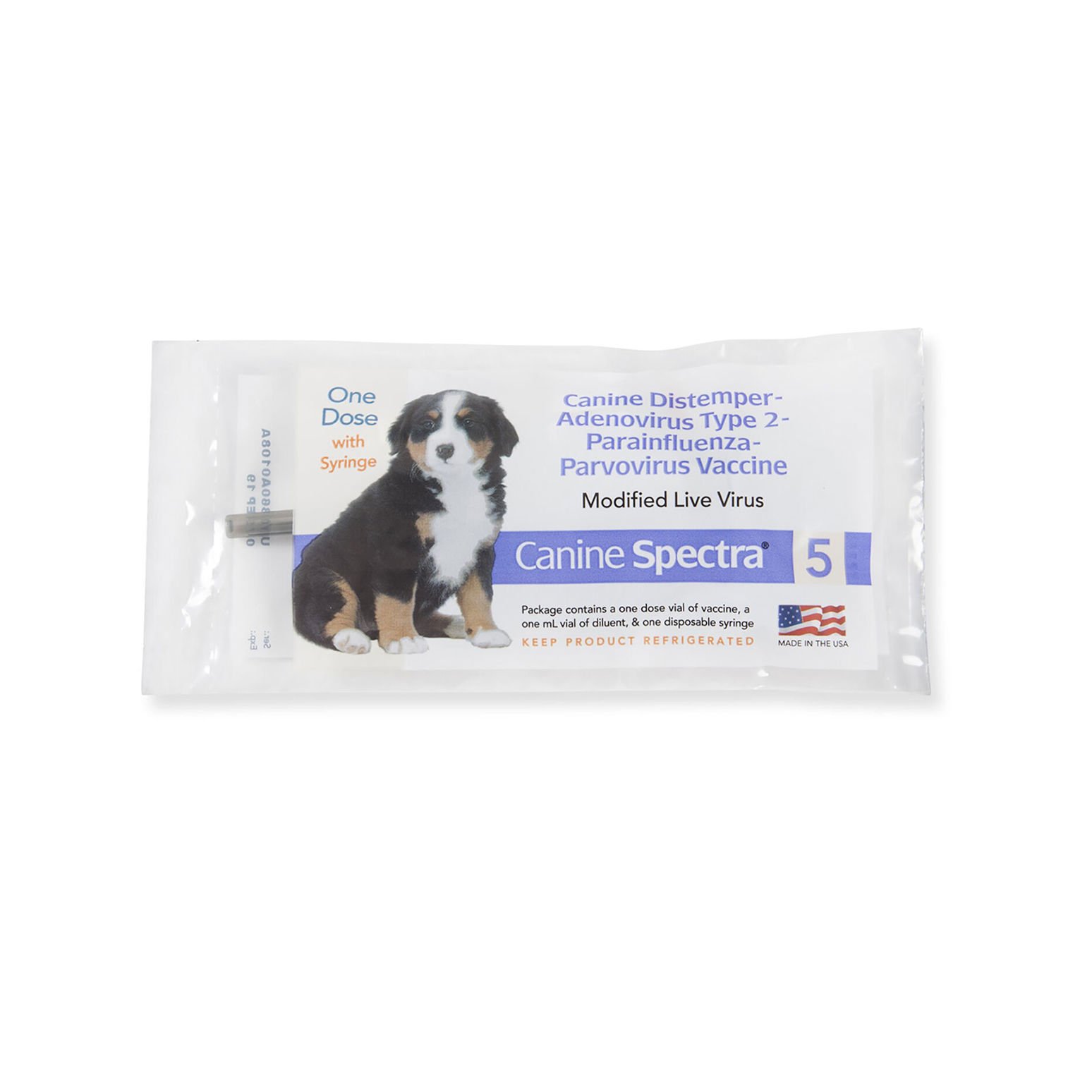 What Vaccines Do Dogs Need to Get Groomed: Essential Guide