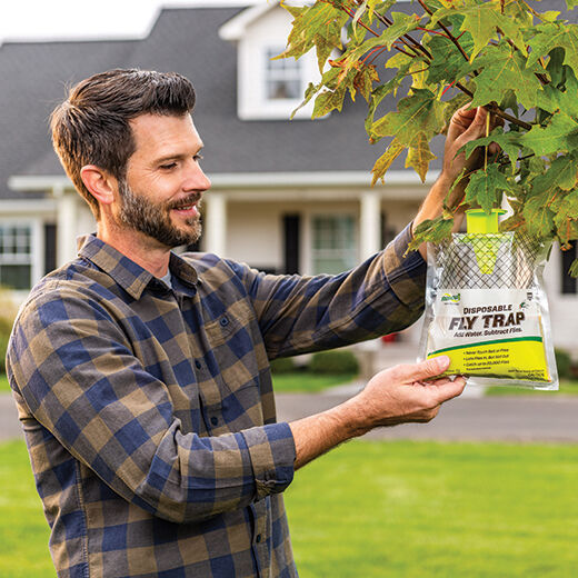 Disposable Fly Trap