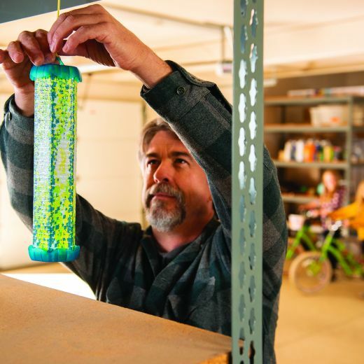 Disposable Indoor Fly Trapstik®