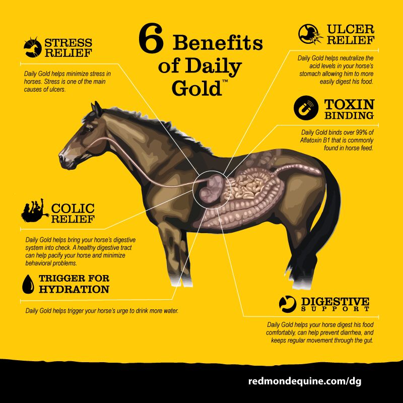 Daily Gold Stress Relief, 4.5-Lb