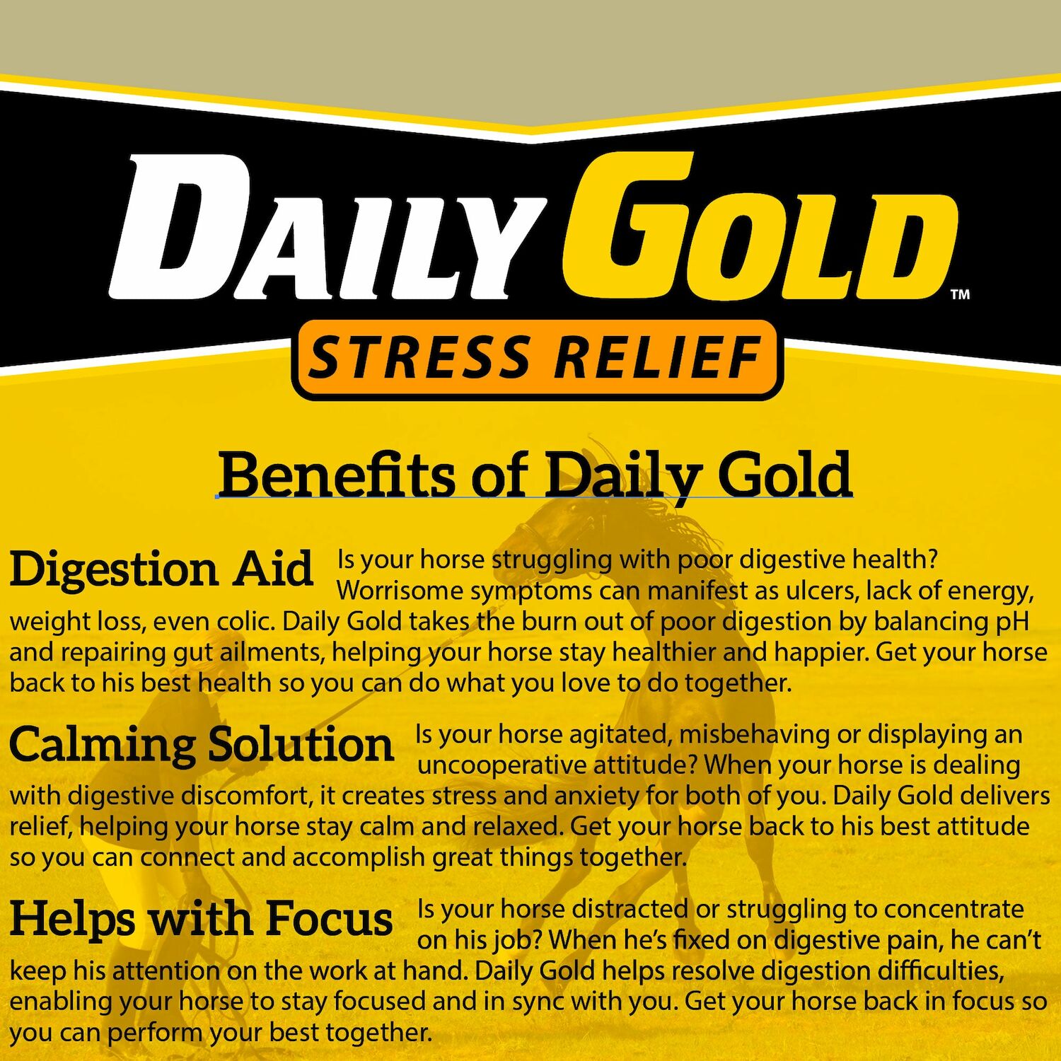 Daily Gold Stress Relief, 4.5-Lb