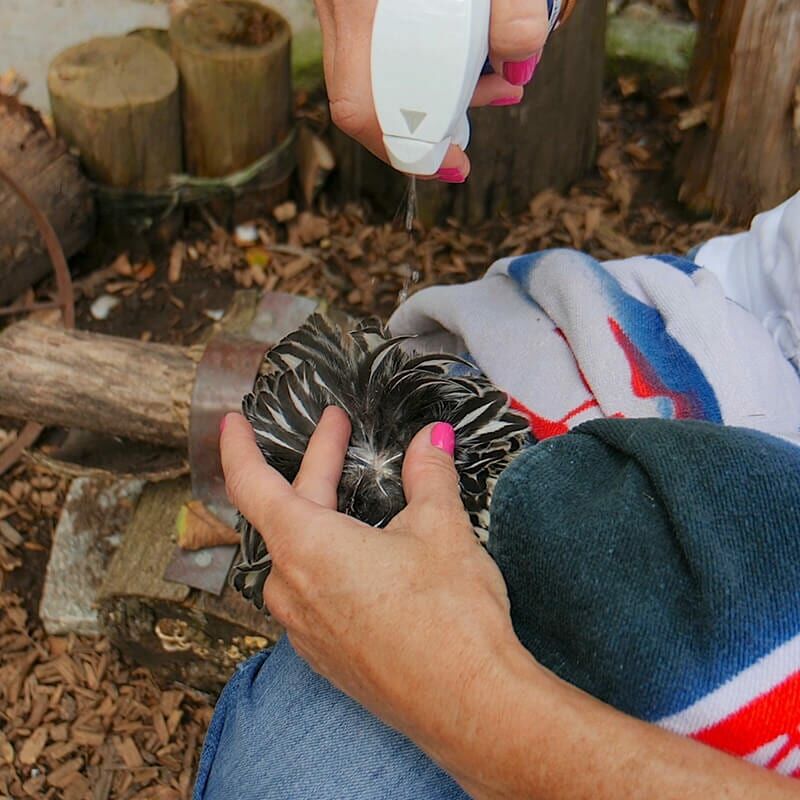 Vetericyn Plus® Antimicrobial Poultry Care, 8-Oz