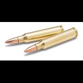 Ammunition - click or tap to browse Ammunition from Coastal