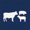 Livestock