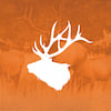 Fall Hunting
