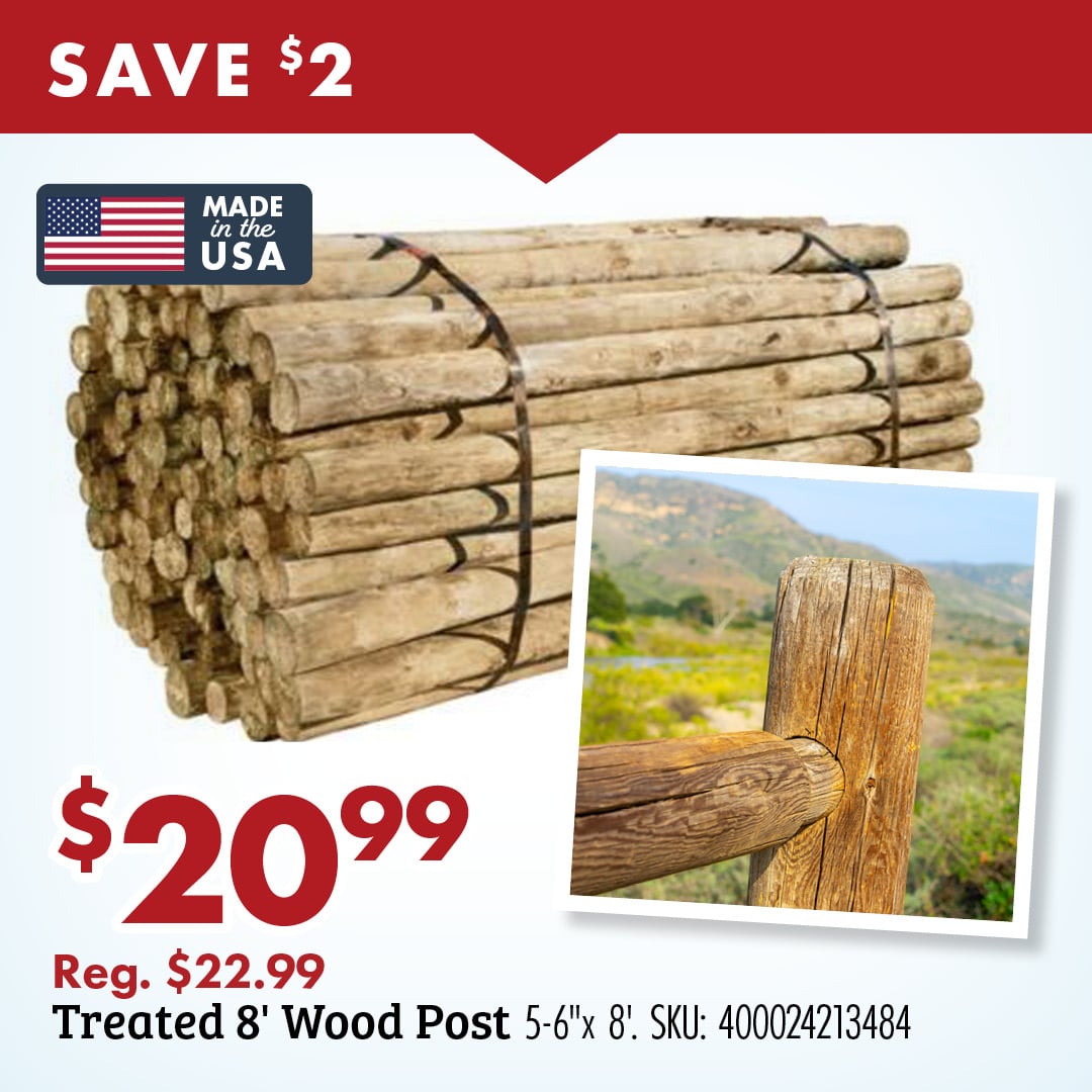 SAVE $2 $20.99 Reg. $22.99 Treated 8' Wood Post 5-6"x8'. SKU: 400024213484