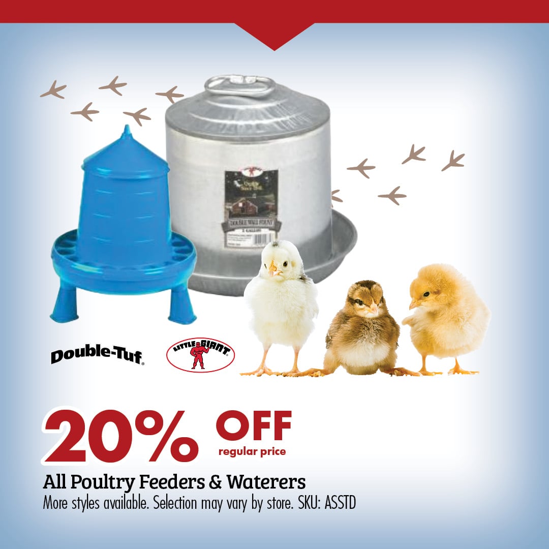20% OFF regular price All Poultry Feeders & Waterers More styles available. Selection may vary by store. SKU: ASSTD