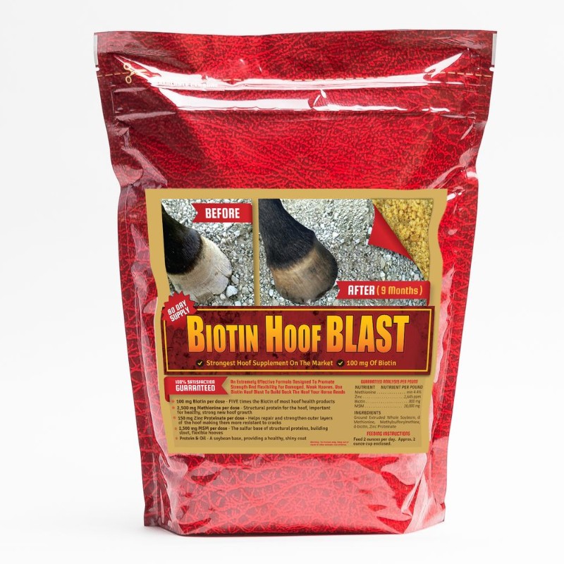 Horse Guard Biotin Hoof Blast Supplement, 10-Lb