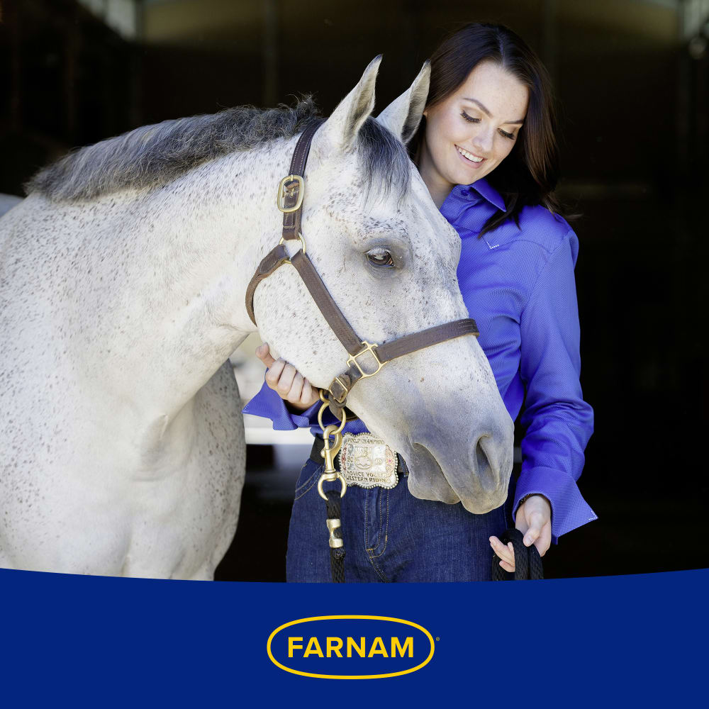 Farnam Weight Builder Equine Supplement, 7.5-Lb