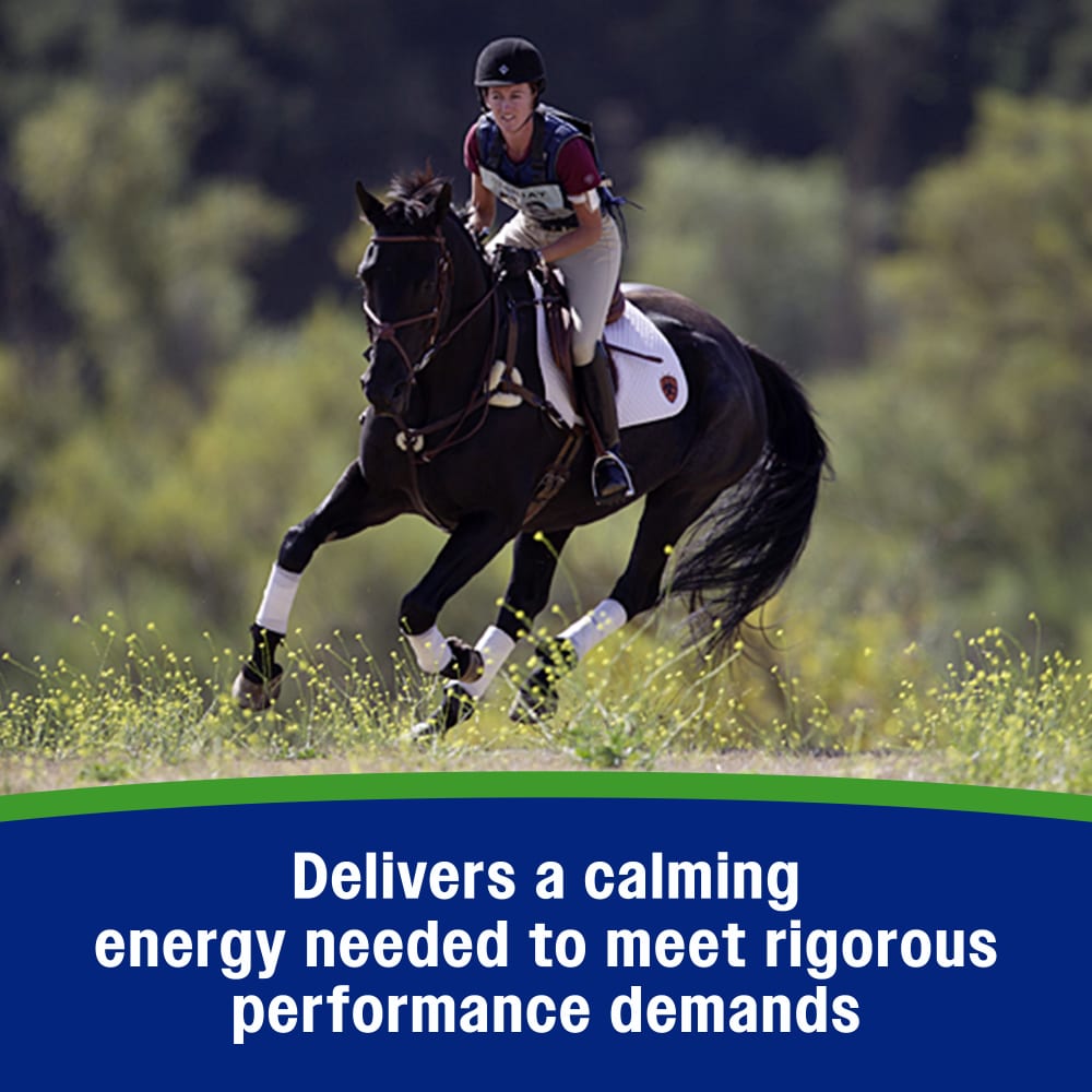 Farnam Weight Builder Equine Supplement, 7.5-Lb