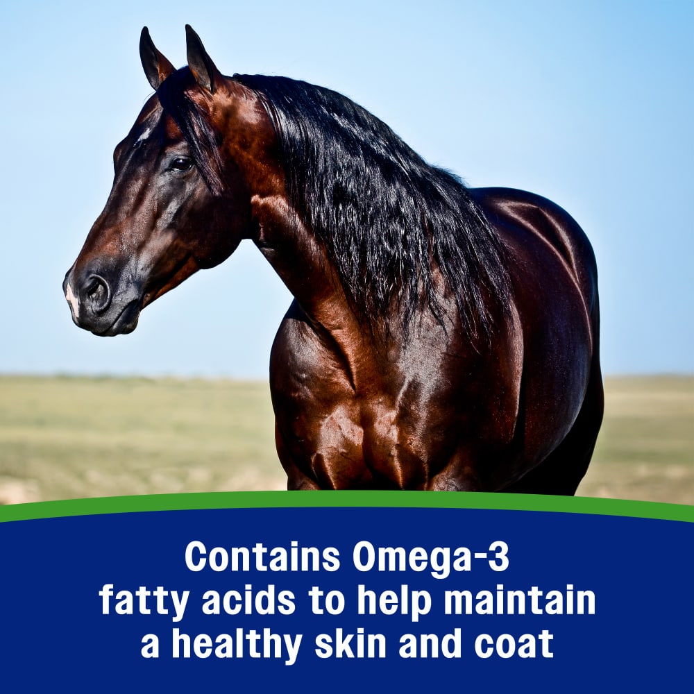 Farnam Weight Builder Equine Supplement, 7.5-Lb