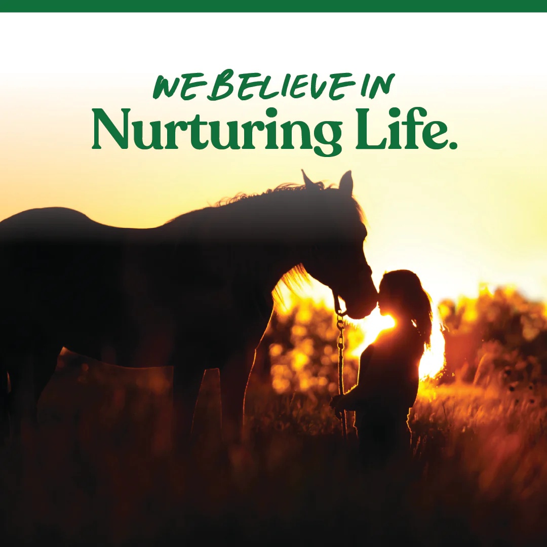 Manna Pro Bite-Size Apple Nuggets Horse Treats, 1-Lb