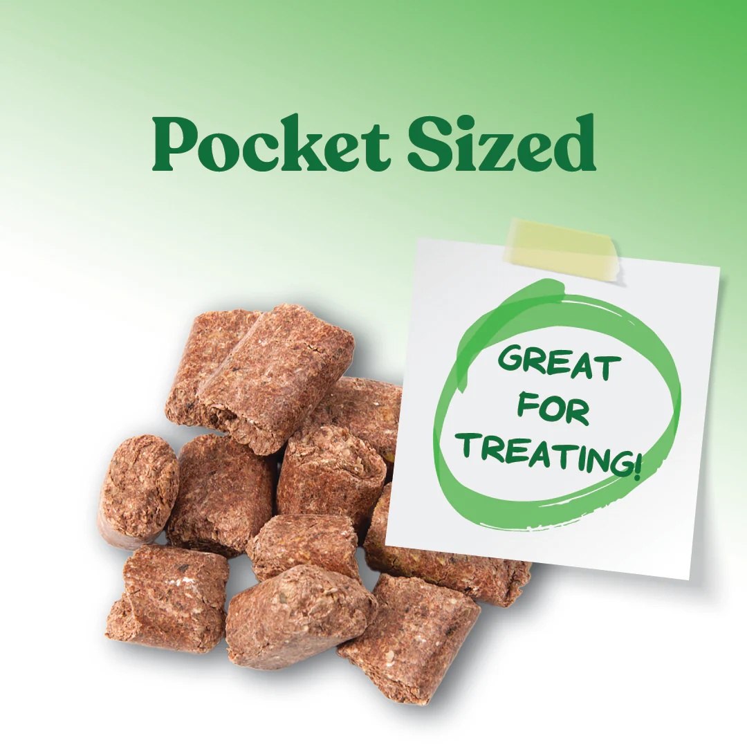 Manna Pro Bite-Size Carrot & Spice Nuggets Horse Treats, 4-Lb