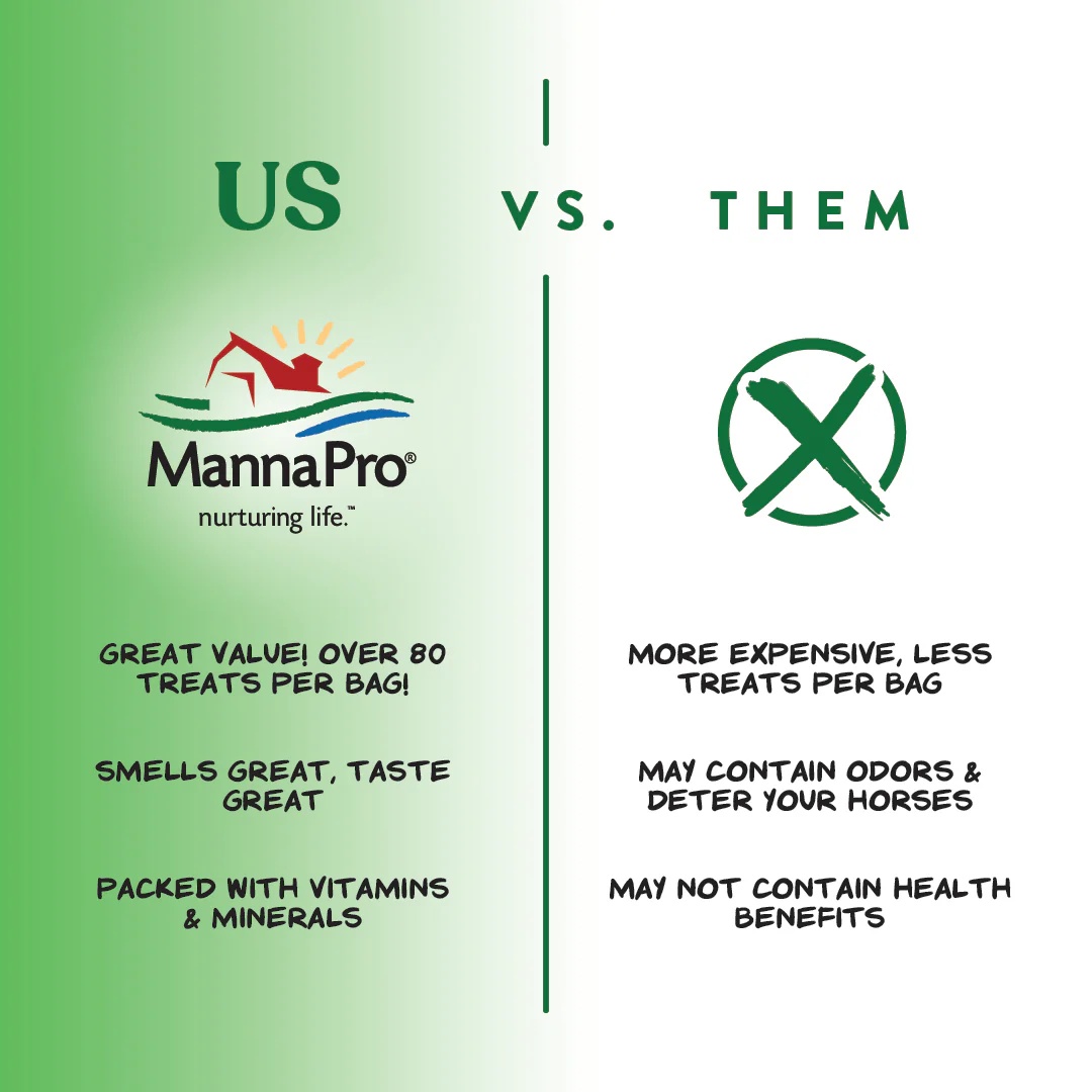 Manna Pro Bite-Size Carrot & Spice Nuggets Horse Treats, 4-Lb