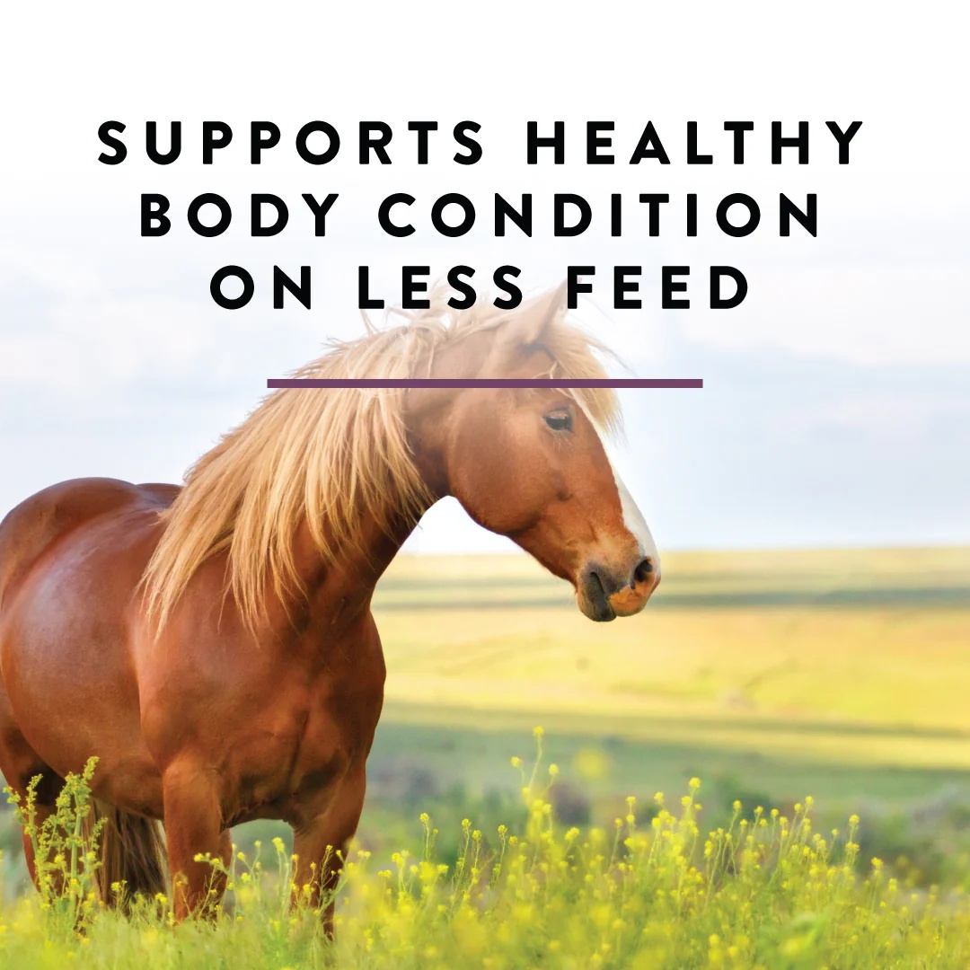 Manna Pro Opti-Zyme Digestive Supplement, 3-Lb