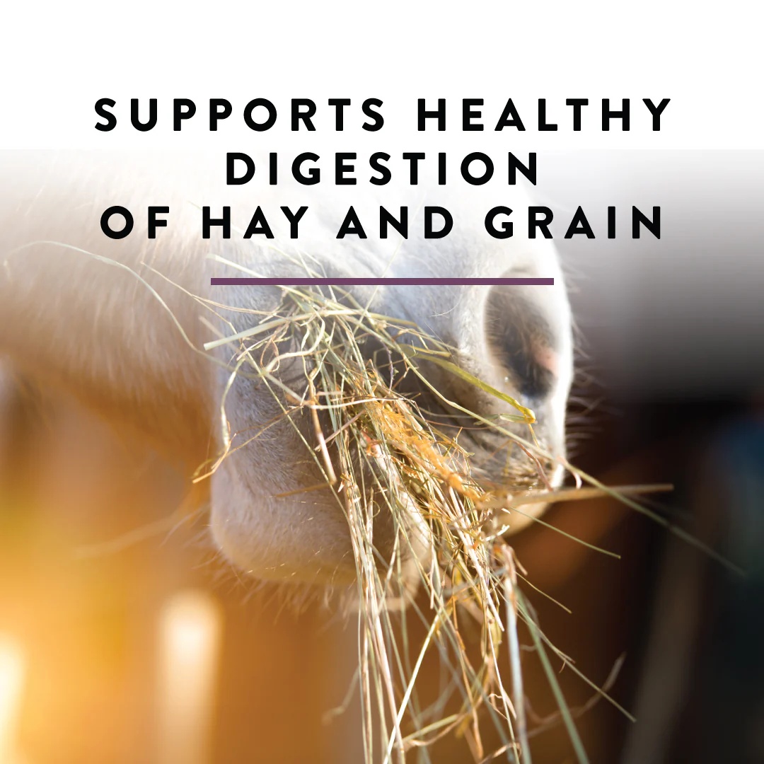 Manna Pro Opti-Zyme Digestive Supplement, 3-Lb