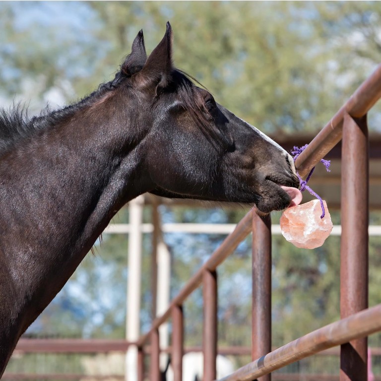 Horsemen's Pride Jolly Salt Snack, 2.2-Lb